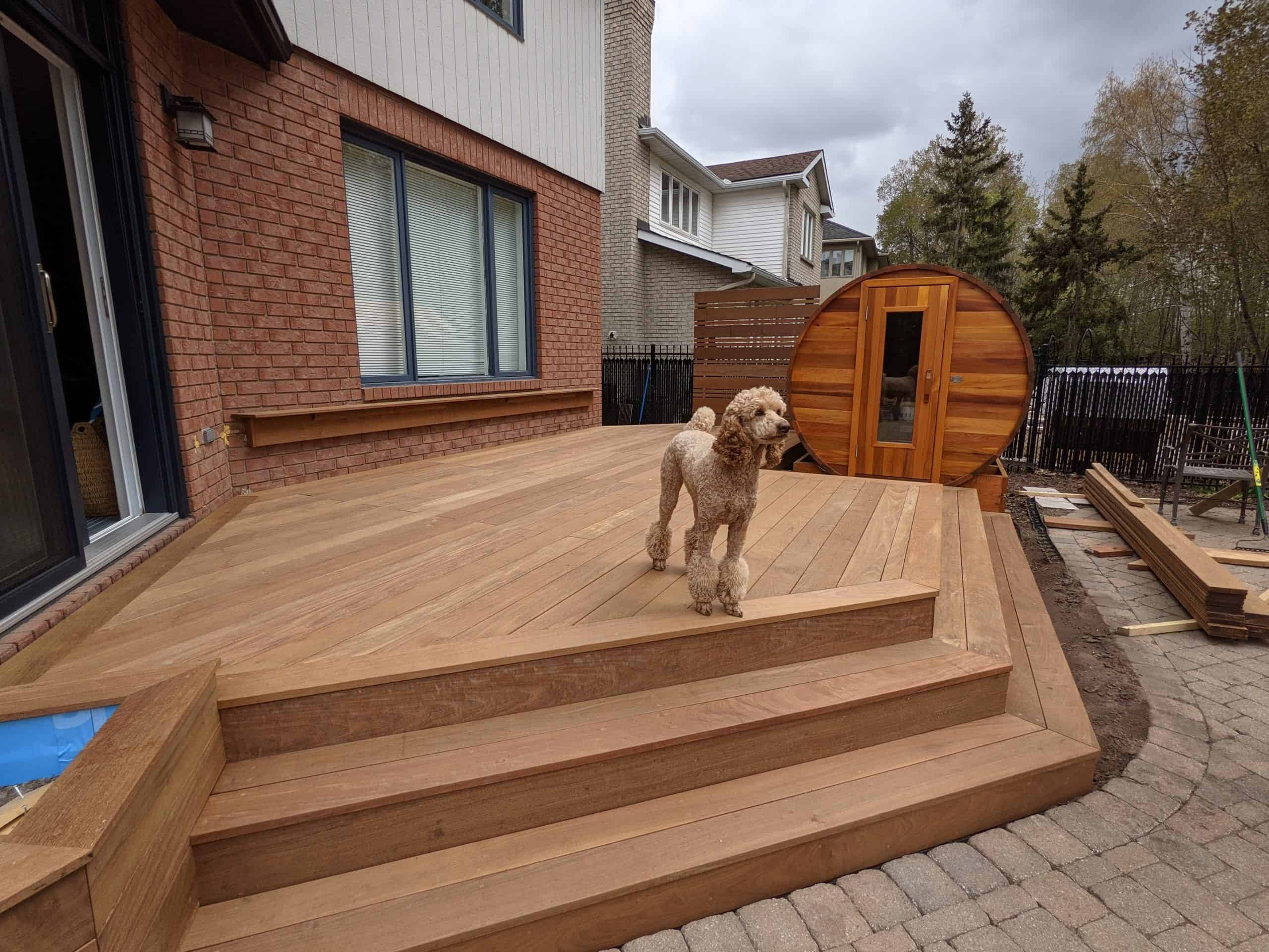 Ottawa IPE Deck and Stairs